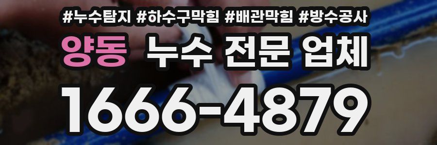 양동 누수 전문 업체