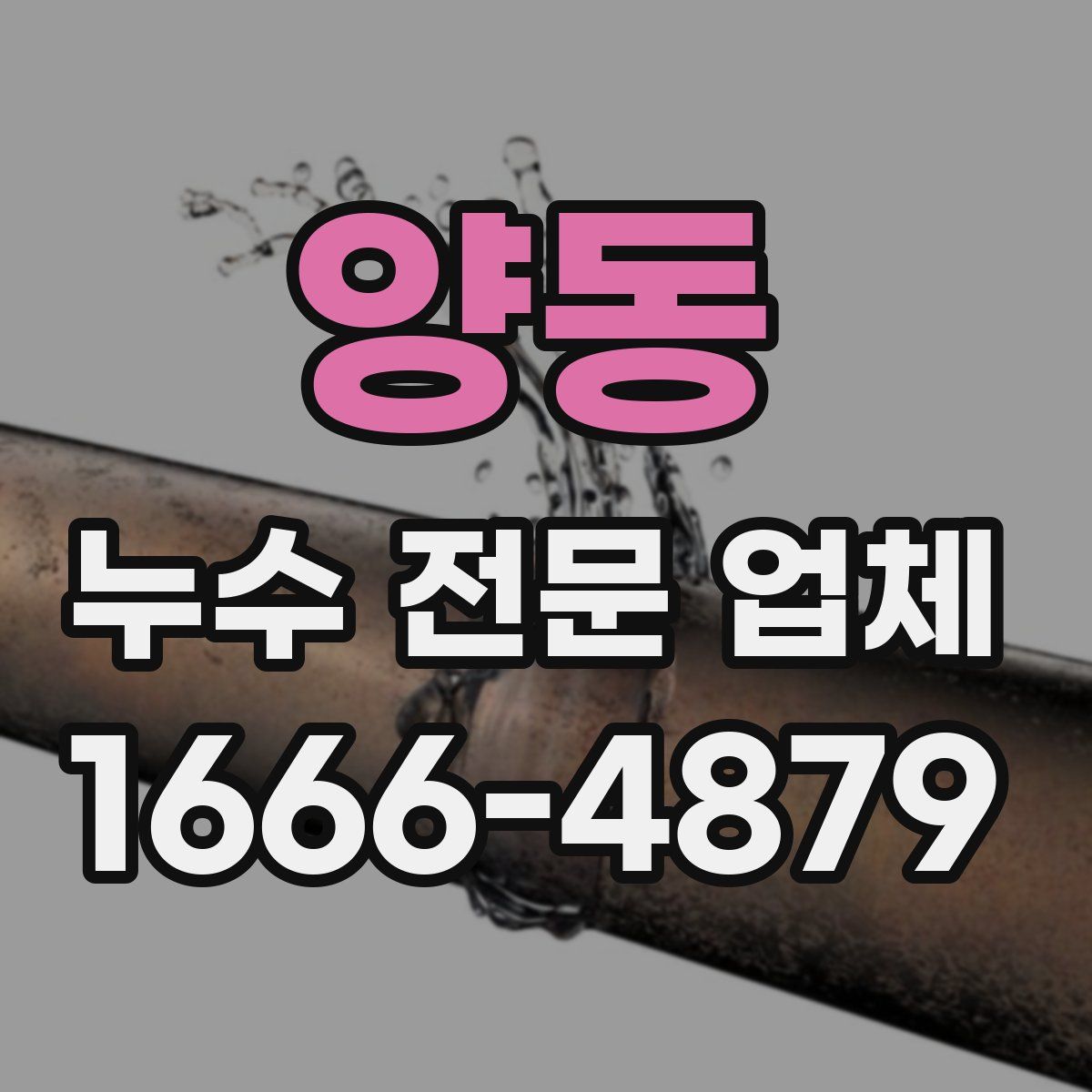 양동 누수 전문 업체