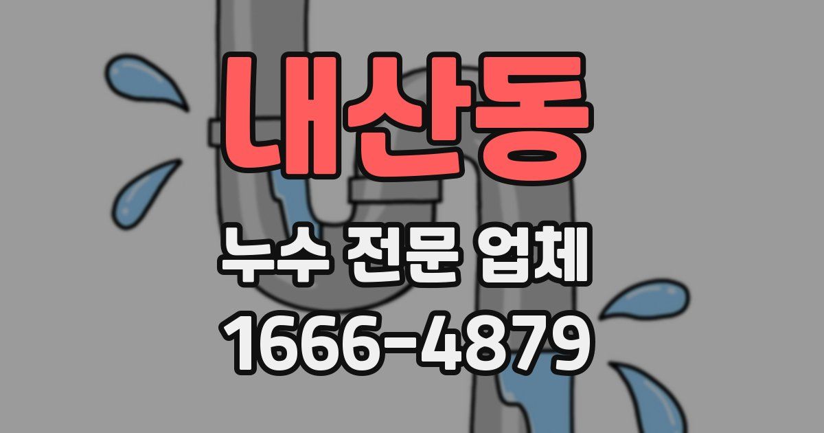 내산동 누수 전문 업체