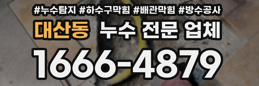 대산동 누수 전문 업체