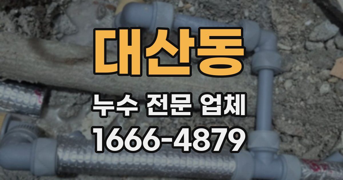 대산동 누수 전문 업체