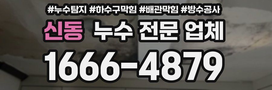 신동 누수 전문 업체