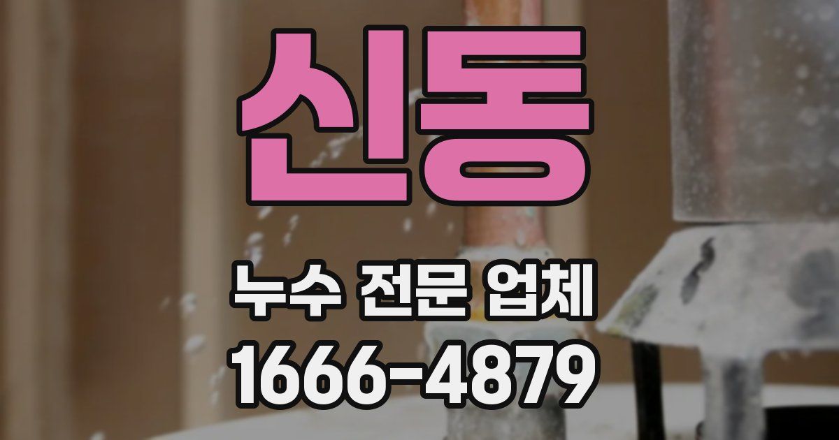 신동 누수 전문 업체