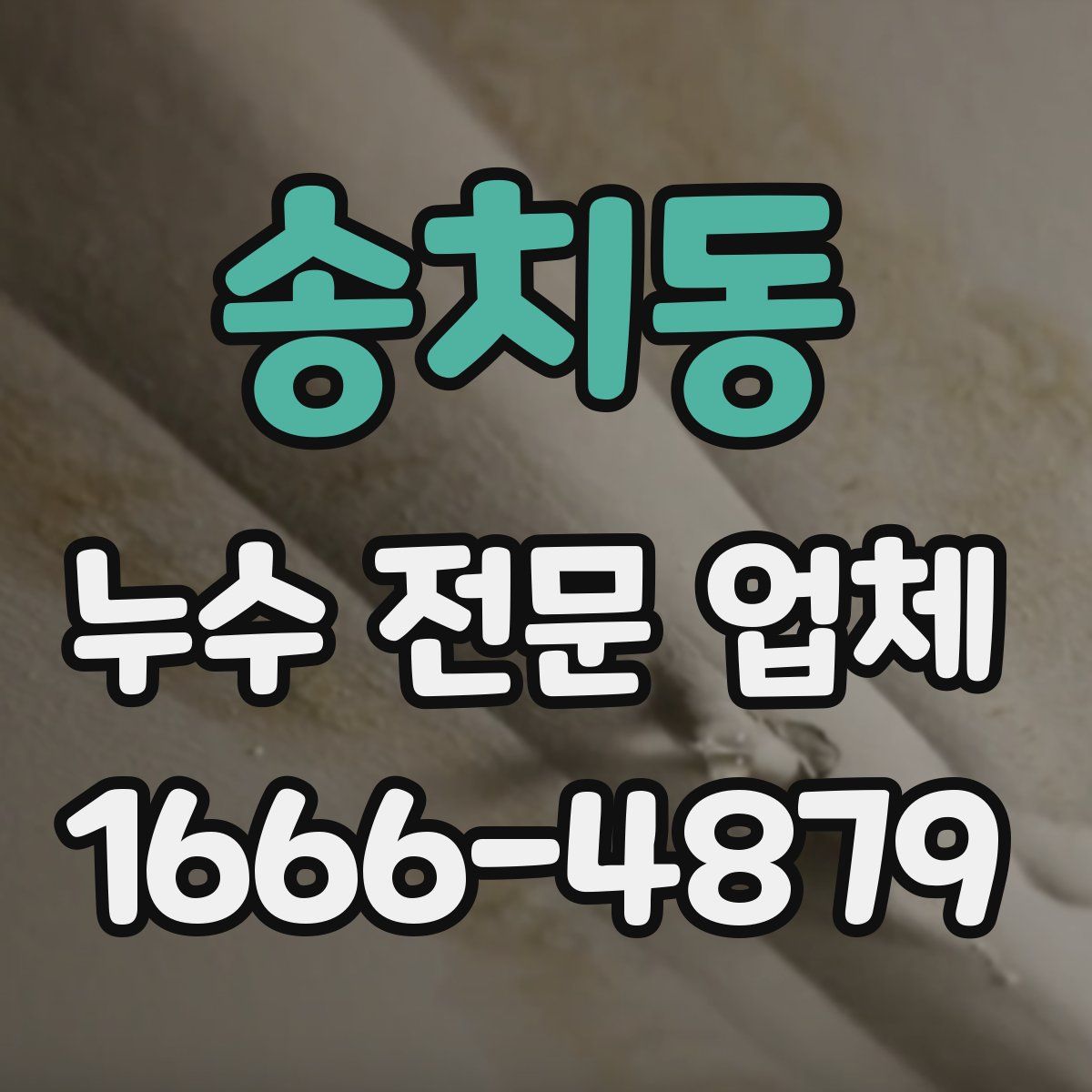 송치동 누수 전문 업체
