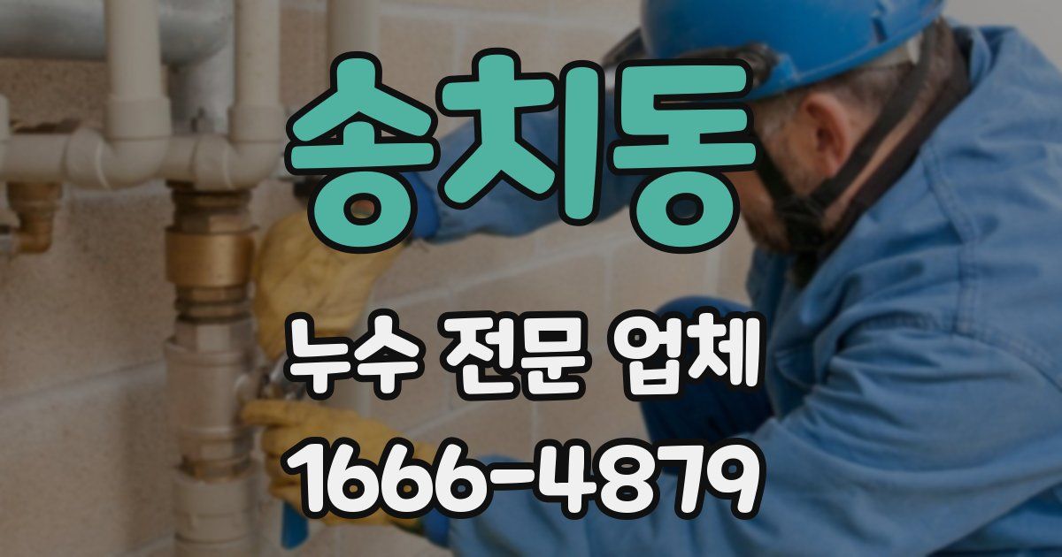송치동 누수 전문 업체