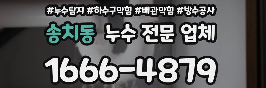 송치동 누수 전문 업체