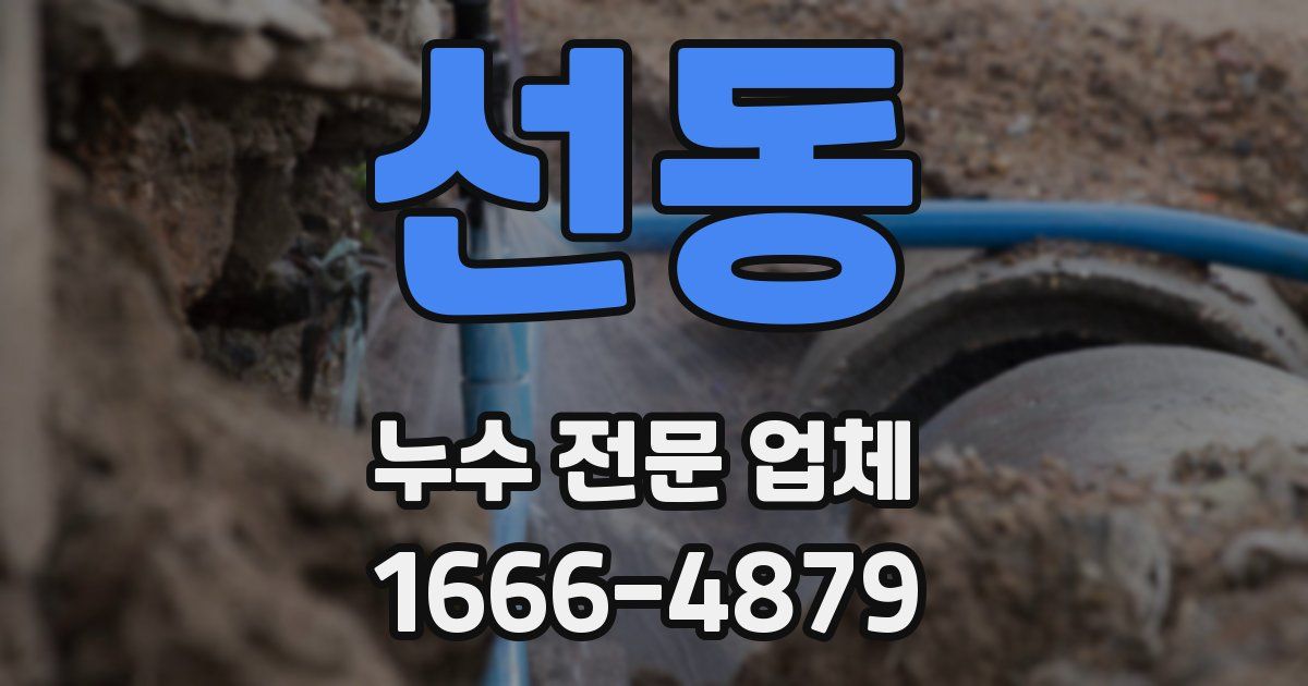 선동 누수 전문 업체