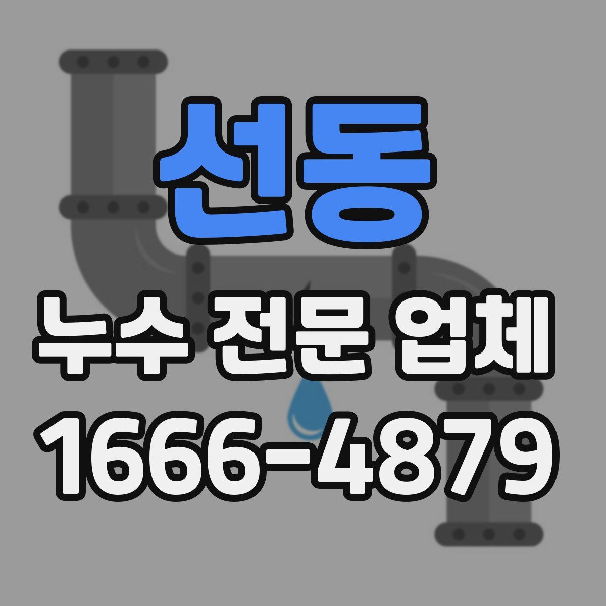 선동 누수 전문 업체
