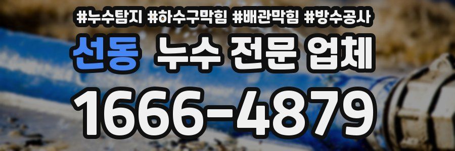 선동 누수 전문 업체