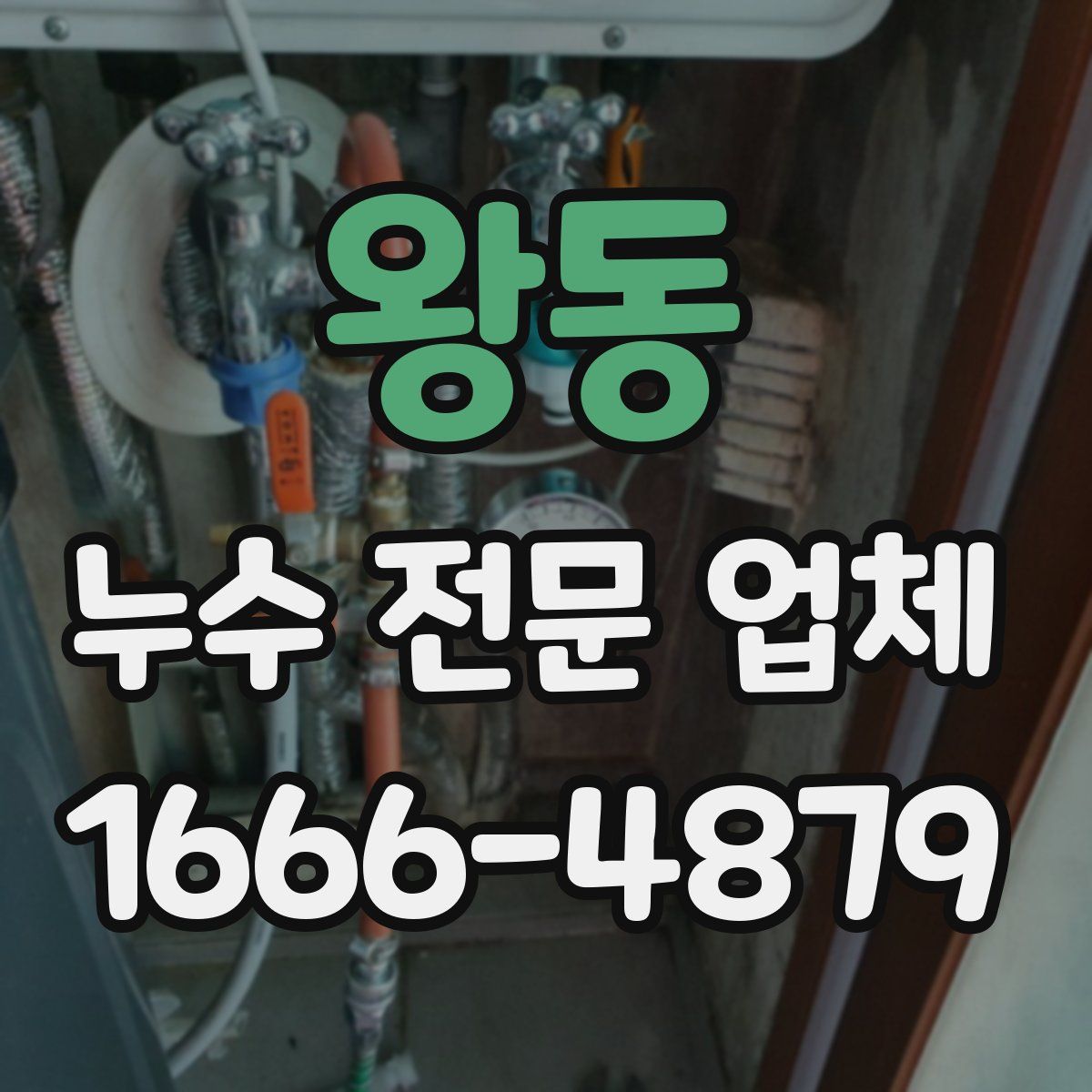 왕동 누수 전문 업체