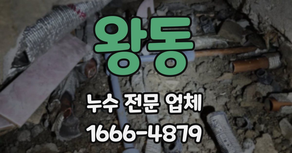 왕동 누수 전문 업체