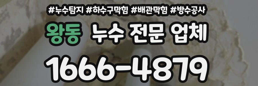 왕동 누수 전문 업체
