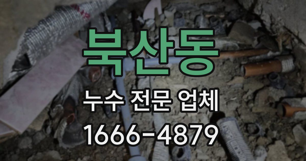 북산동 누수 전문 업체