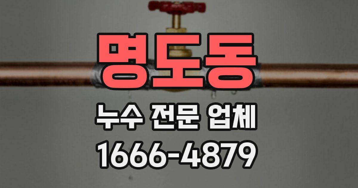 명도동 누수 전문 업체