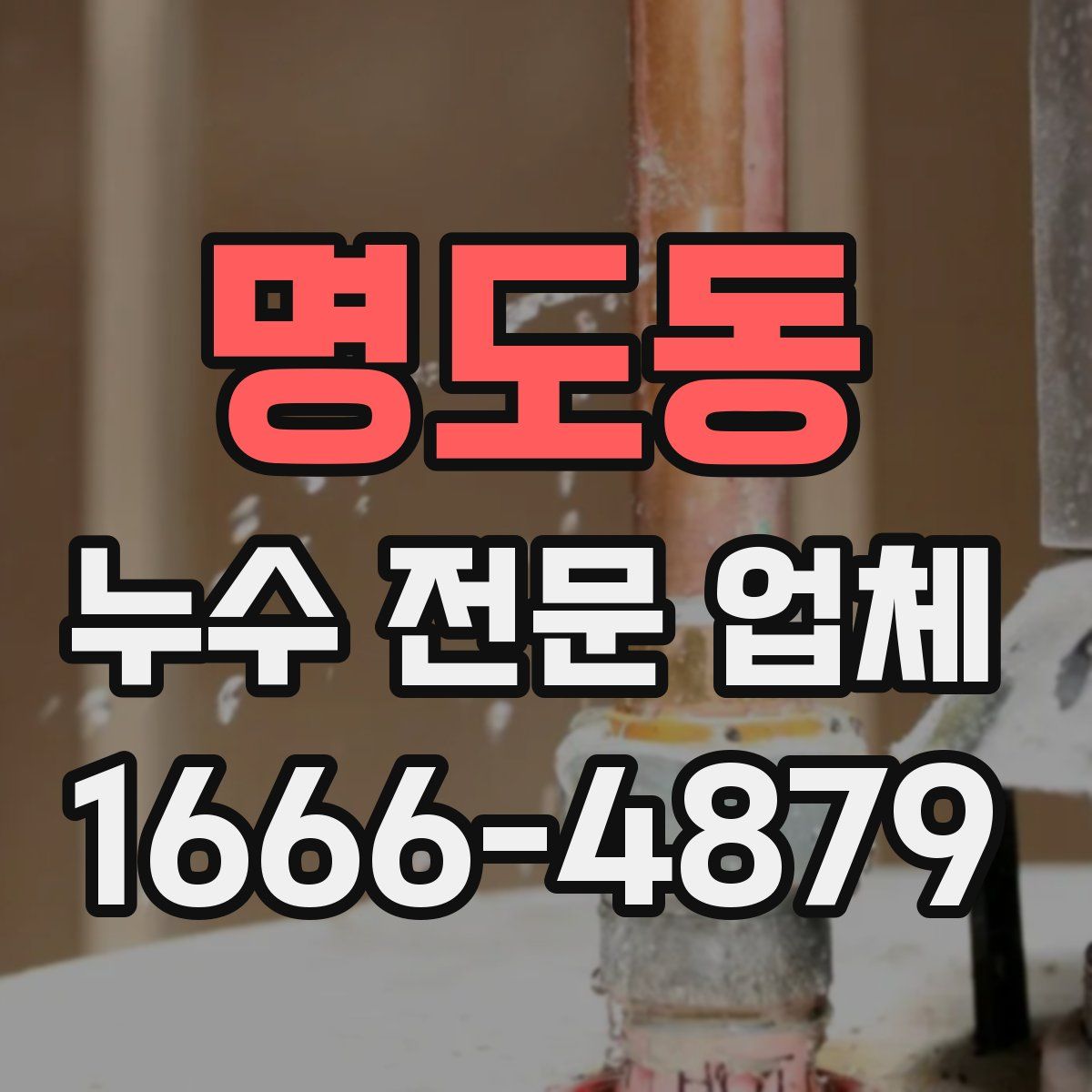 명도동 누수 전문 업체