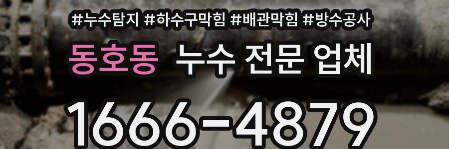 동호동 누수 전문 업체