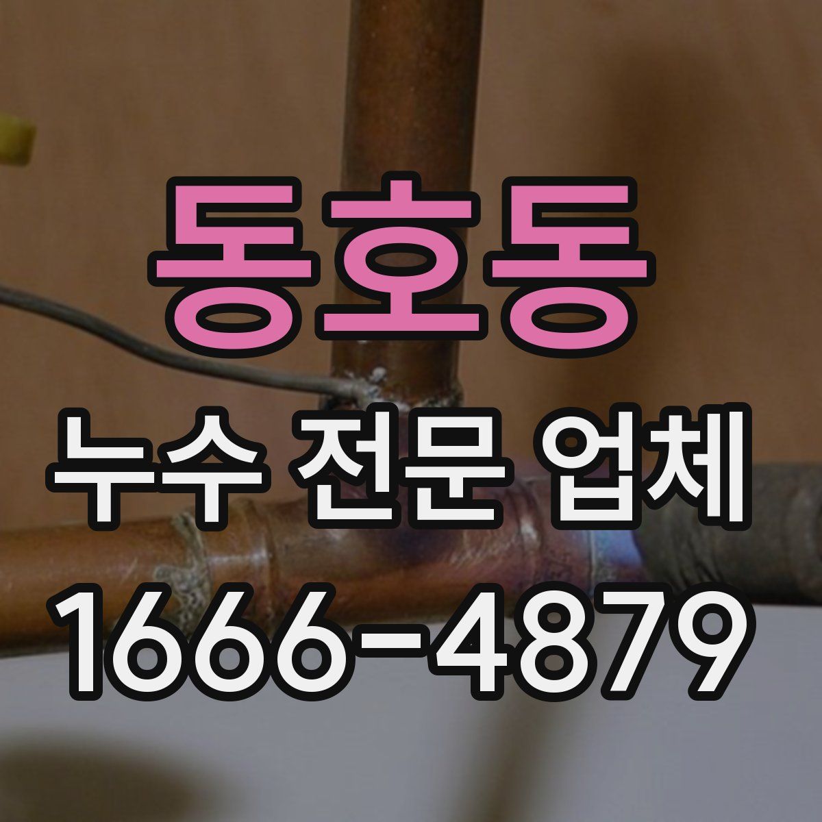동호동 누수 전문 업체