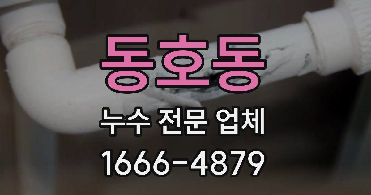 동호동 누수 전문 업체