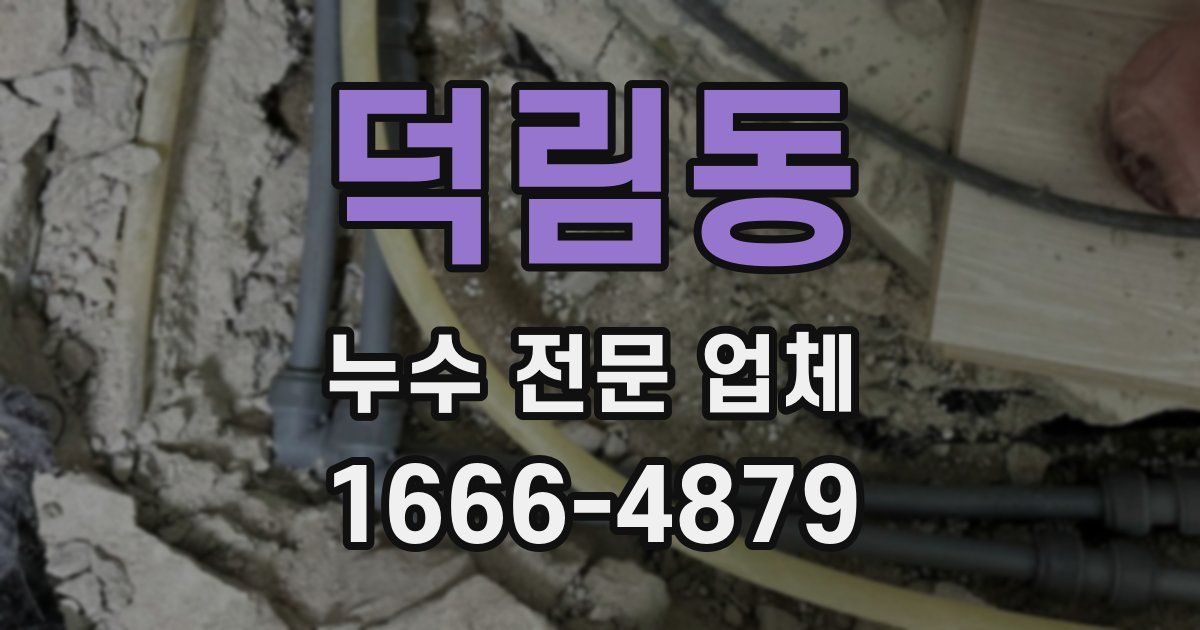 덕림동 누수 전문 업체