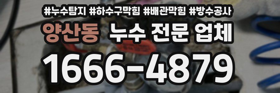 양산동 누수 전문 업체