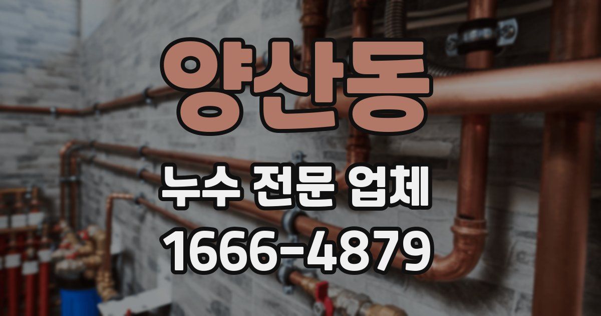 양산동 누수 전문 업체