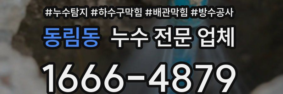 동림동 누수 전문 업체