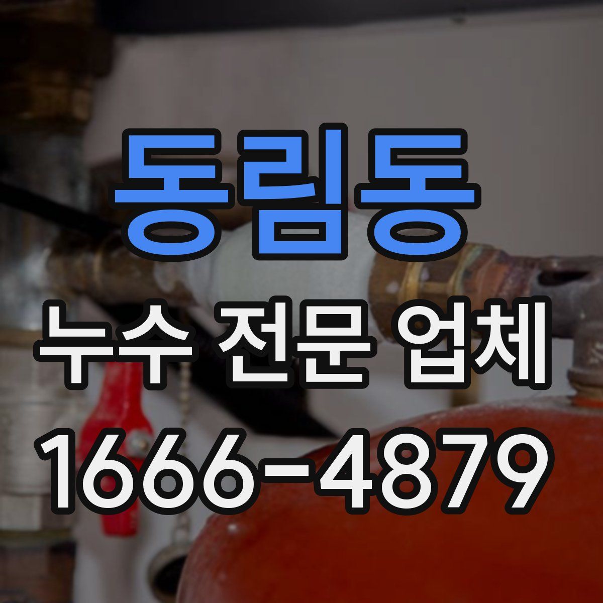 동림동 누수 전문 업체