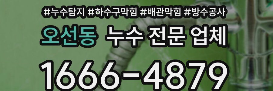 오선동 누수 전문 업체