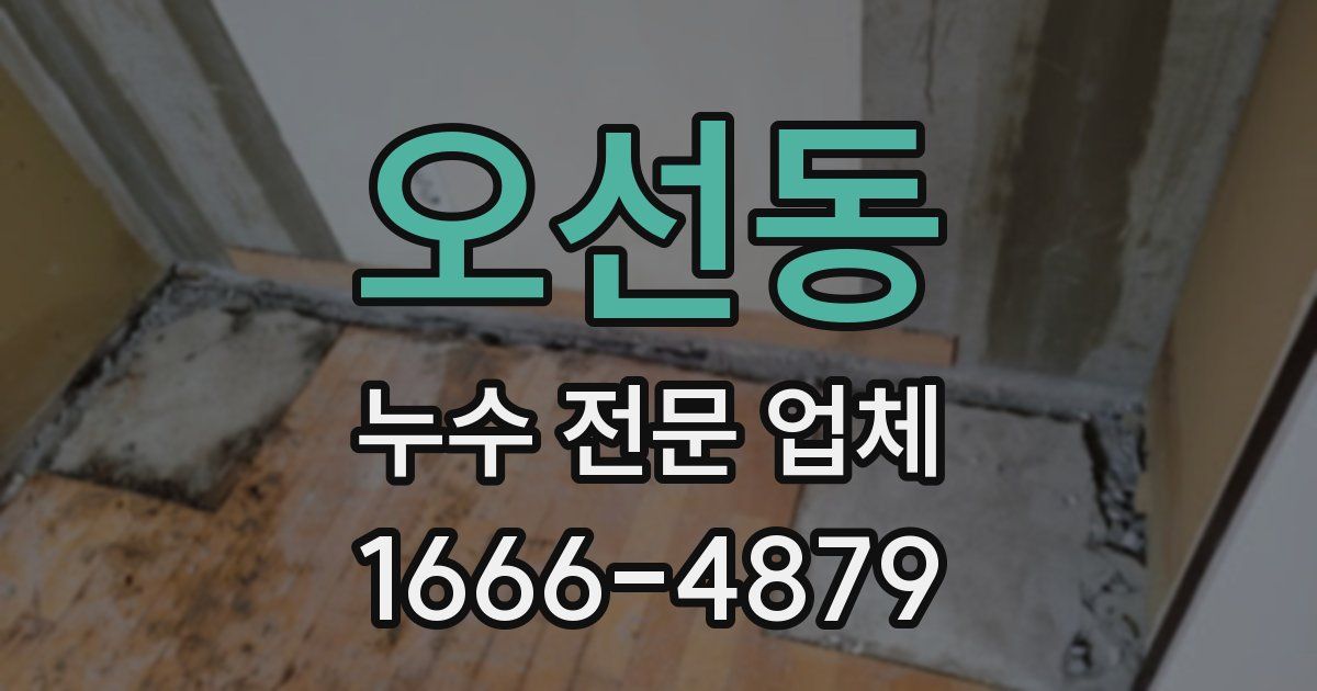 오선동 누수 전문 업체