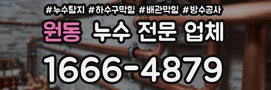 원동 누수 전문 업체