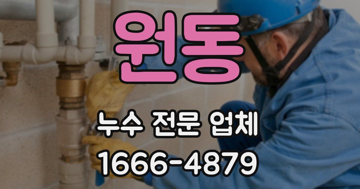 원동 누수 전문 업체