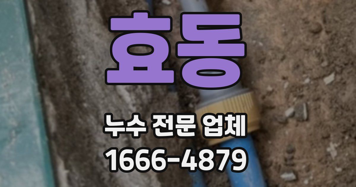 효동 누수 전문 업체