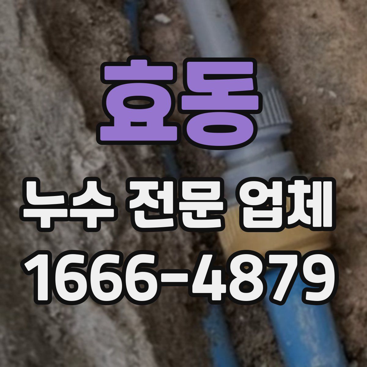 효동 누수 전문 업체