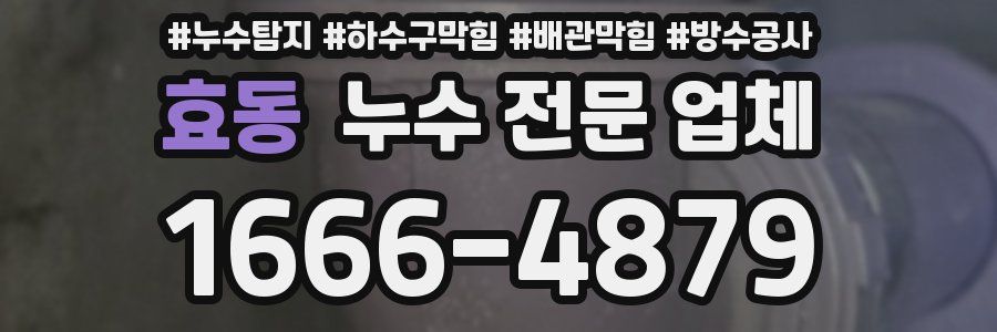 효동 누수 전문 업체