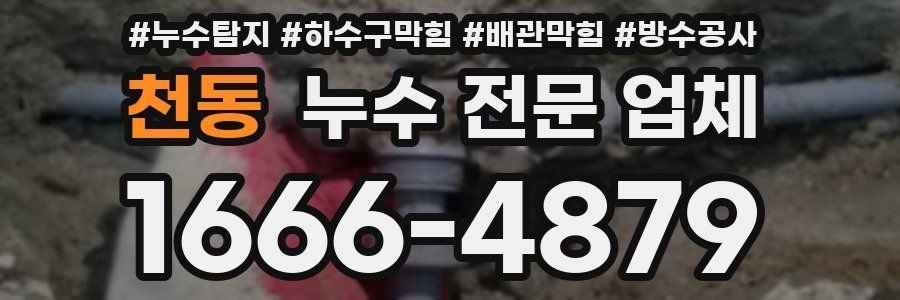 천동 누수 전문 업체