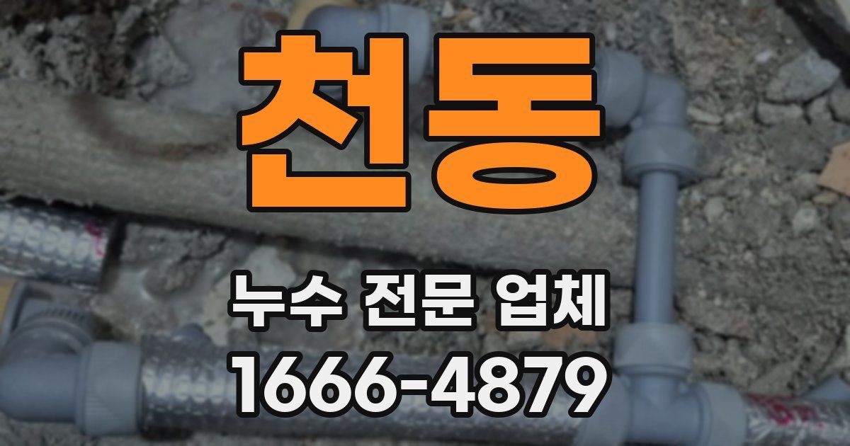 천동 누수 전문 업체
