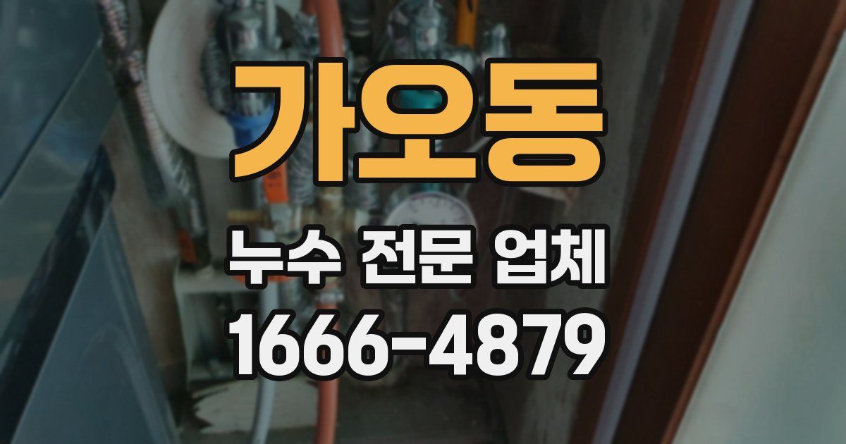 가오동 누수 전문 업체