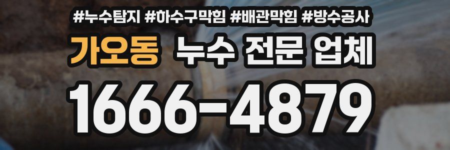 가오동 누수 전문 업체