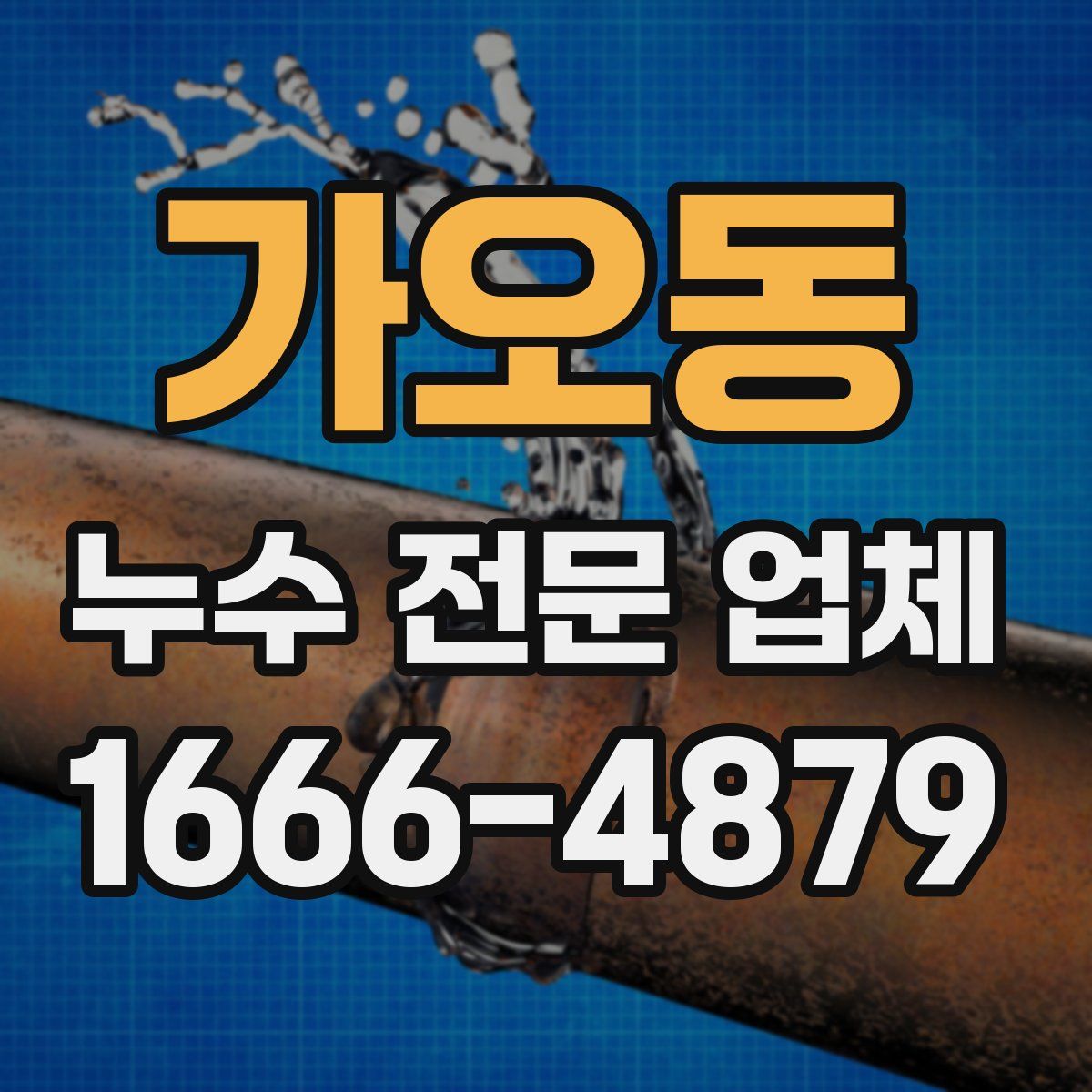 가오동 누수 전문 업체