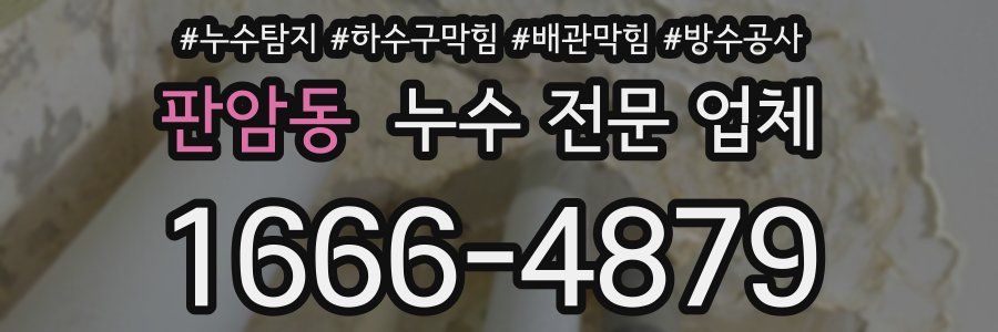 판암동 누수 전문 업체