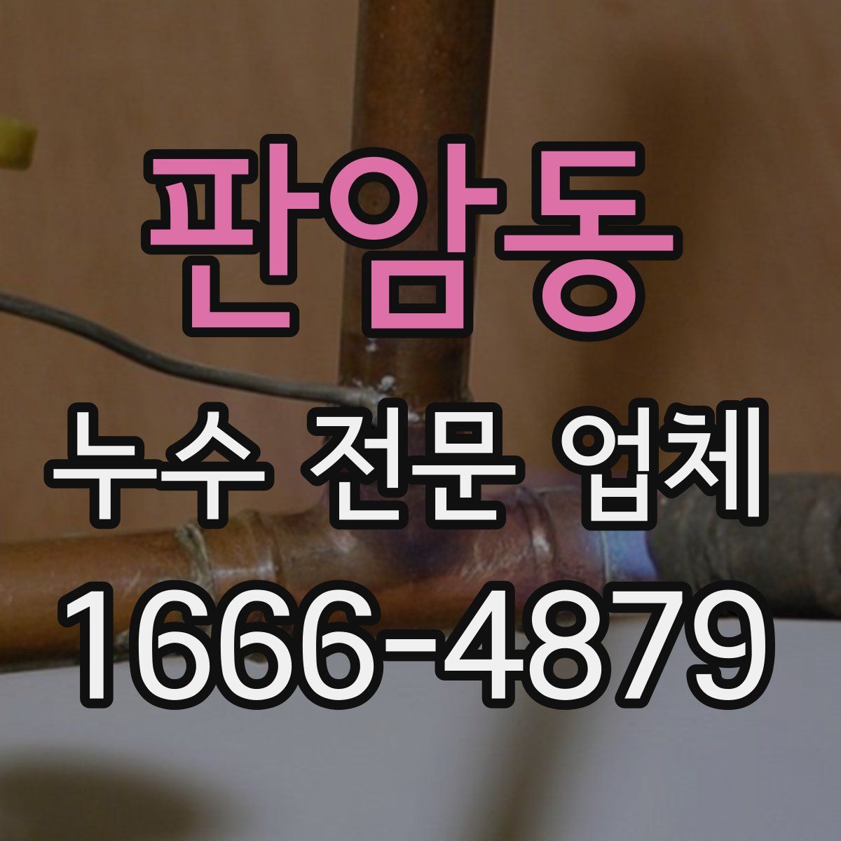 판암동 누수 전문 업체