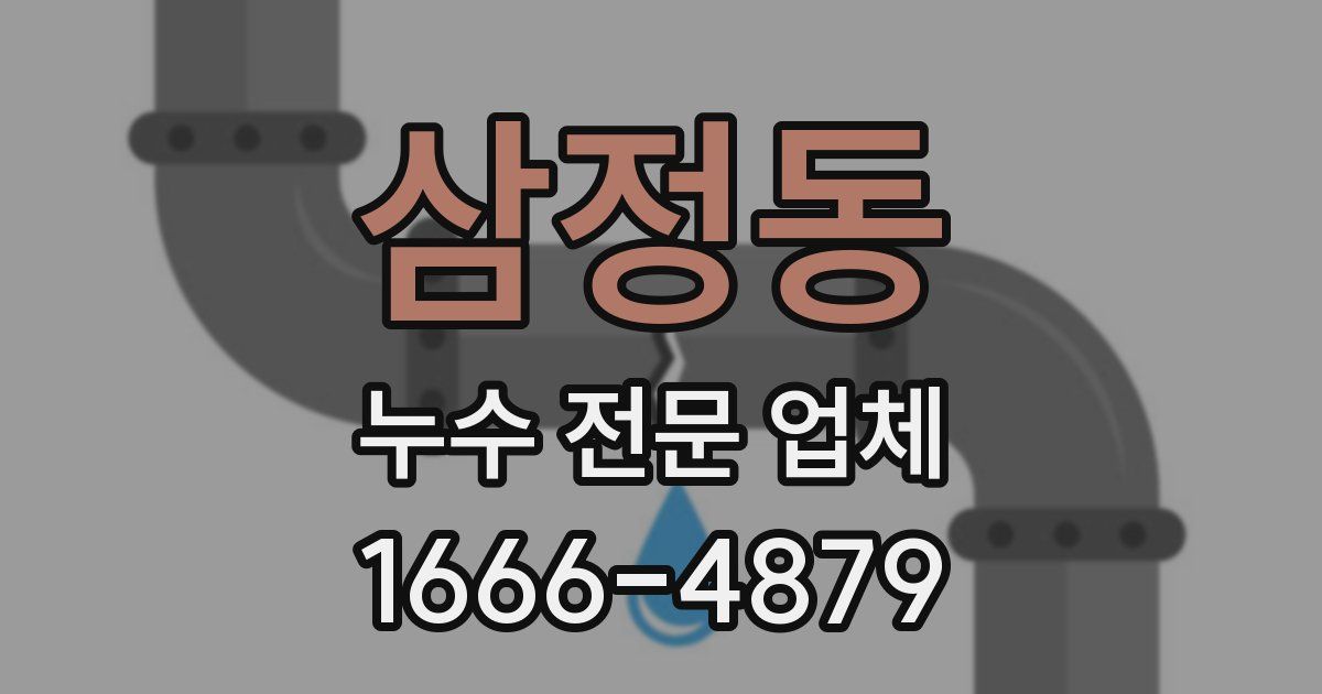 삼정동 누수 전문 업체