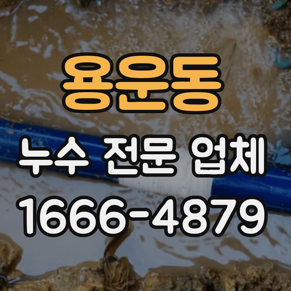 용운동 누수 전문 업체