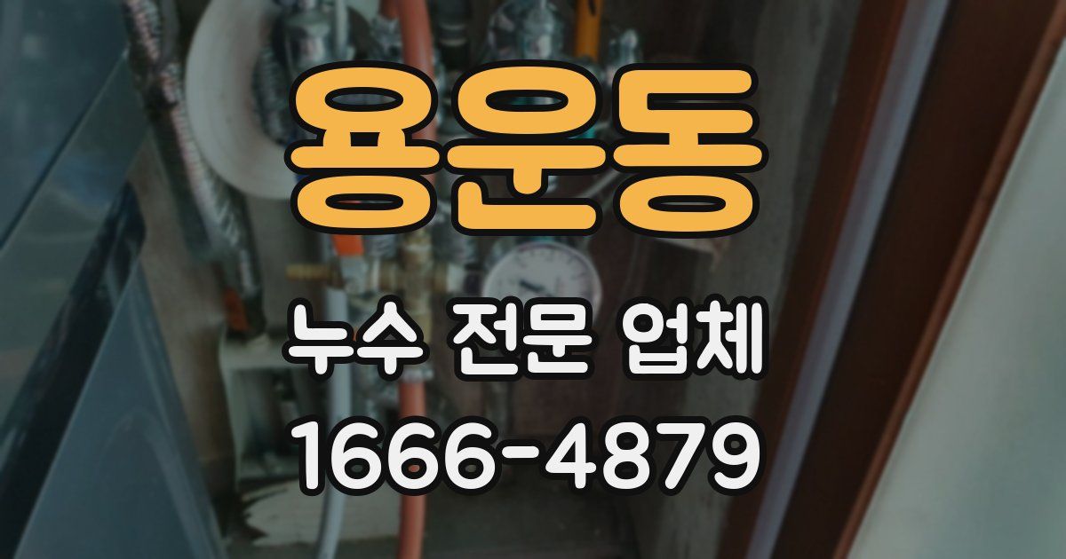 용운동 누수 전문 업체