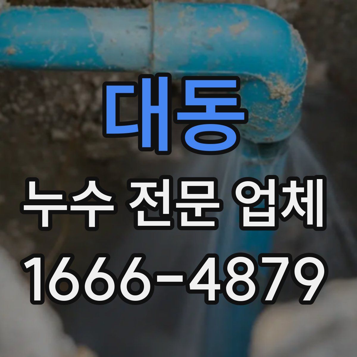 대동 누수 전문 업체