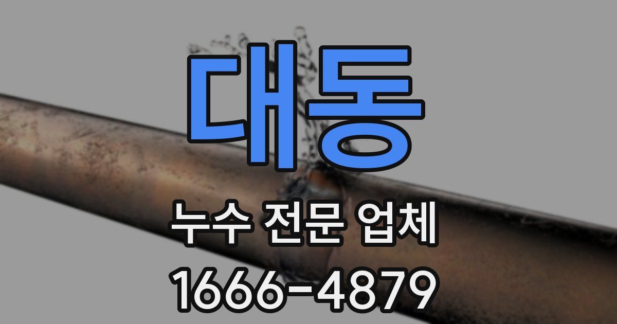 대동 누수 전문 업체