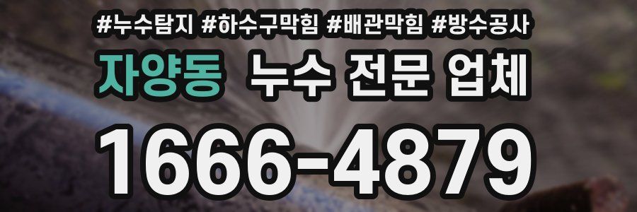 자양동 누수 전문 업체