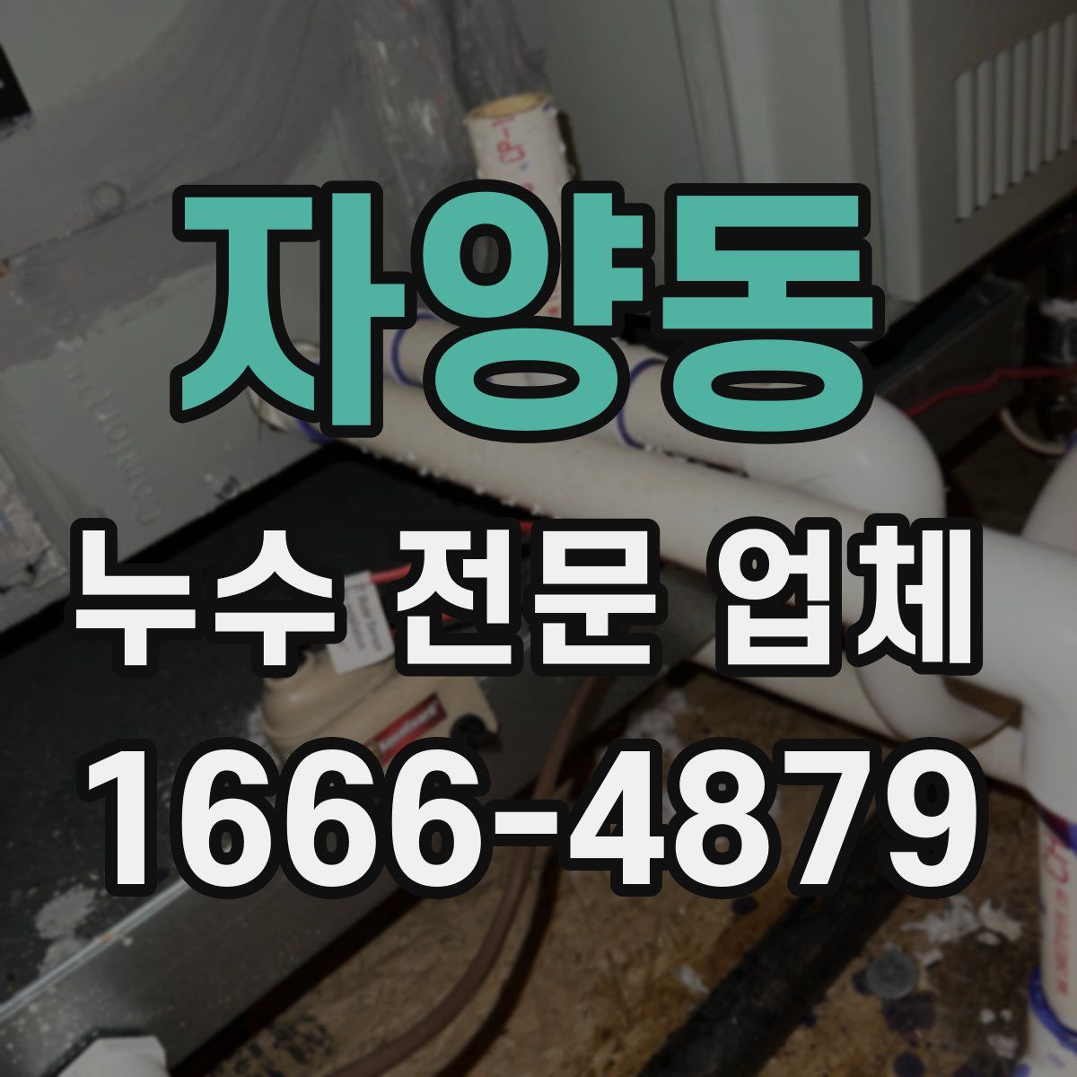 자양동 누수 전문 업체