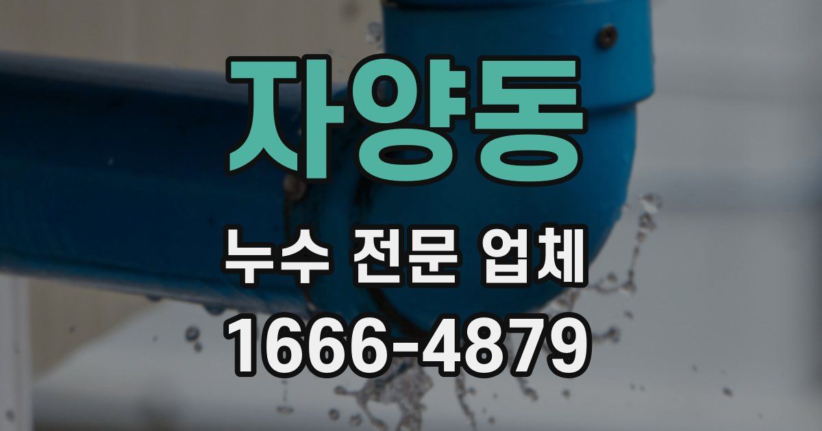 자양동 누수 전문 업체