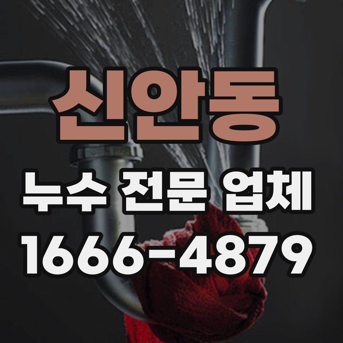 신안동 누수 전문 업체